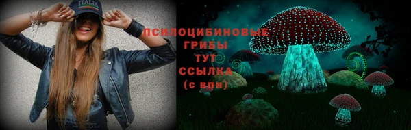 дурь Белоозёрский
