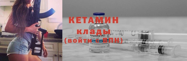 шишки Белокуриха