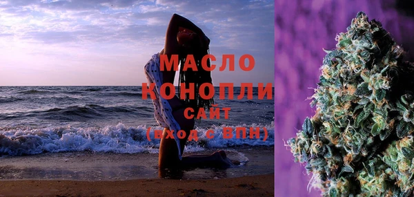 шишки Белокуриха