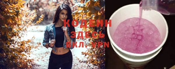 шишки Белокуриха