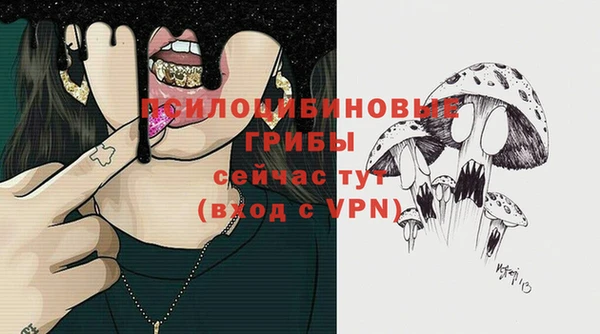 бутират Богородицк