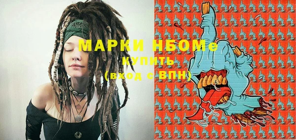шишки Белокуриха