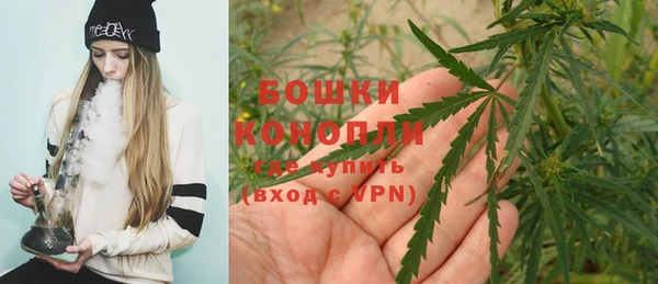 шишки Белокуриха