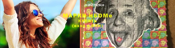 шишки Белокуриха