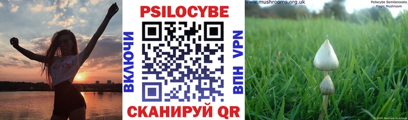Галлюциногенные грибы ЛСД  наркота  Касимов 